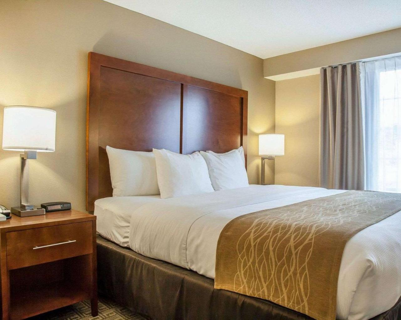 Comfort Inn & Suites Sturbridge-Brimfield المظهر الخارجي الصورة